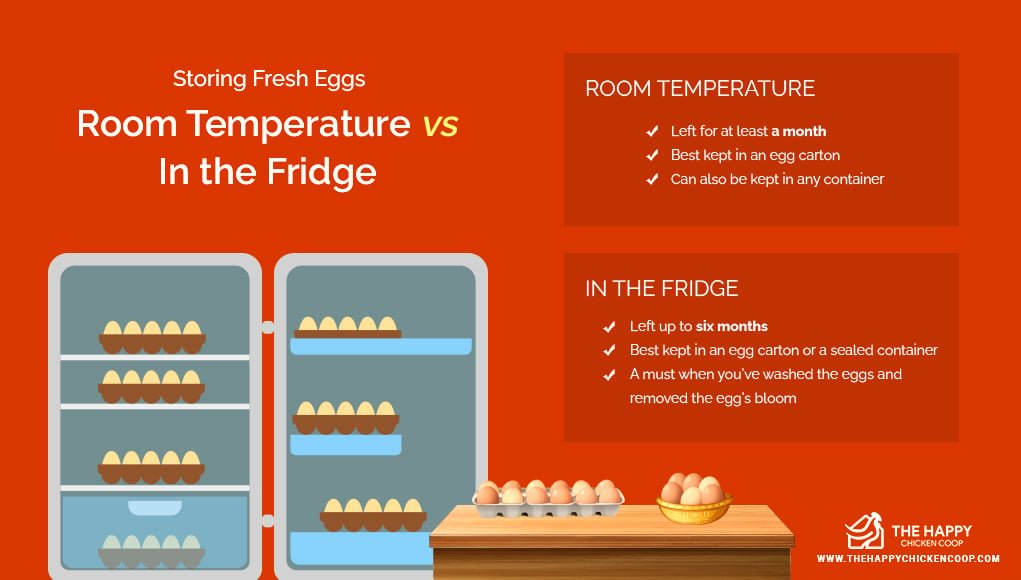 đá gà đòn phú yên,Đá Gà Đòn Phú Yên – Một Sự Kết Hợp Độc Đáo Của Truyền Thống và Đời Sống