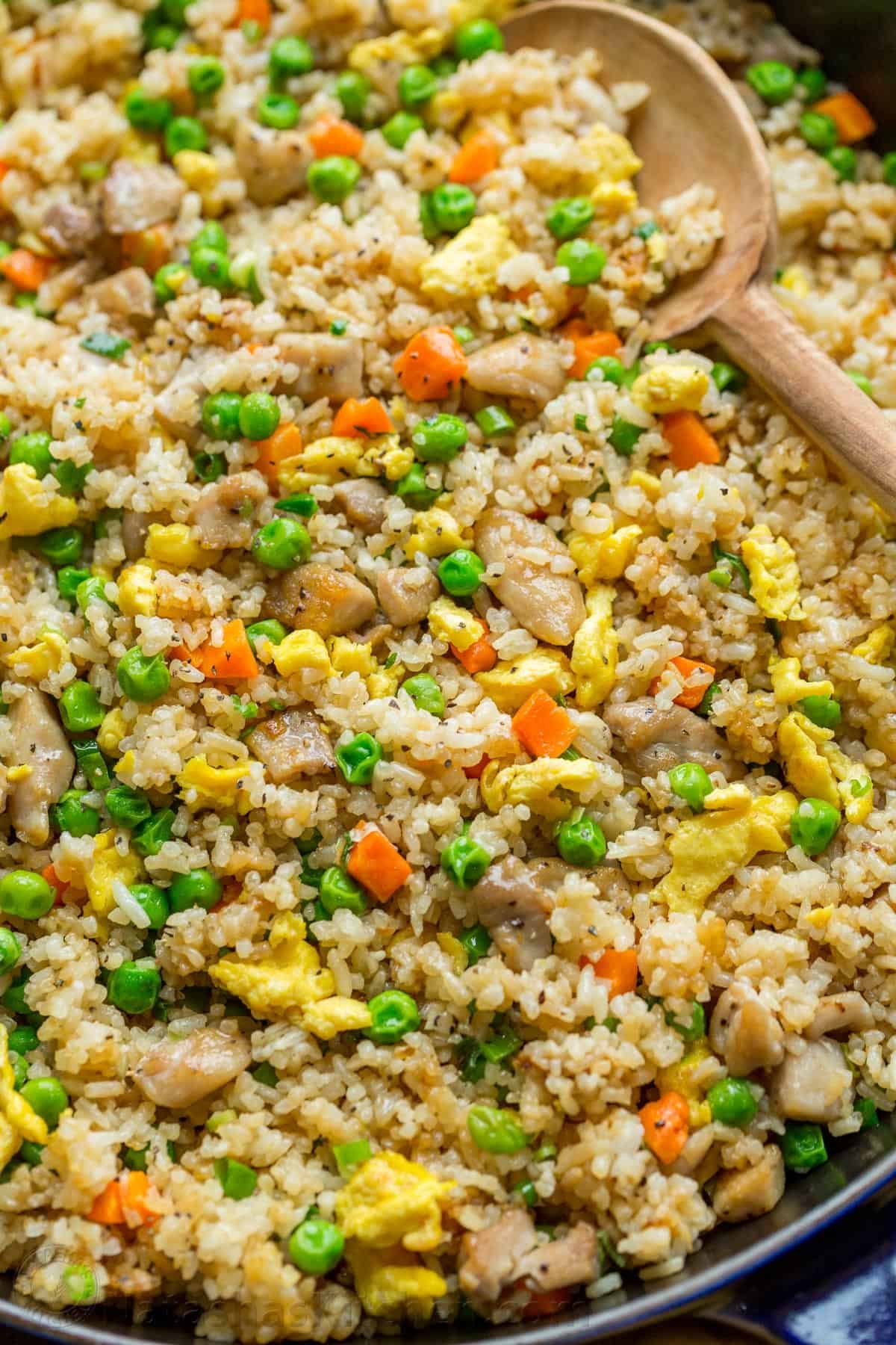 xem đá gà chọi hay xem đá gà chọi hay