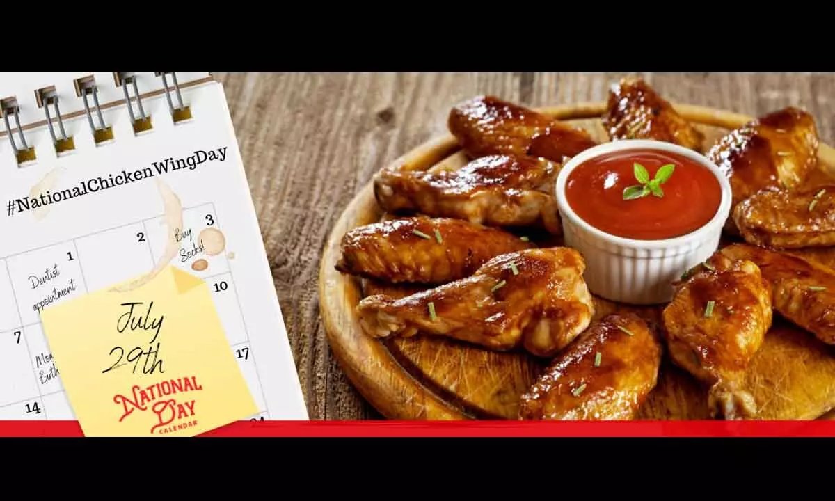 đá gà philips đá gà philips
