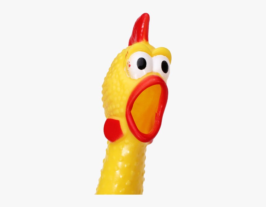 nuôi gà nòi đá hay nuôi gà nòi đá hay