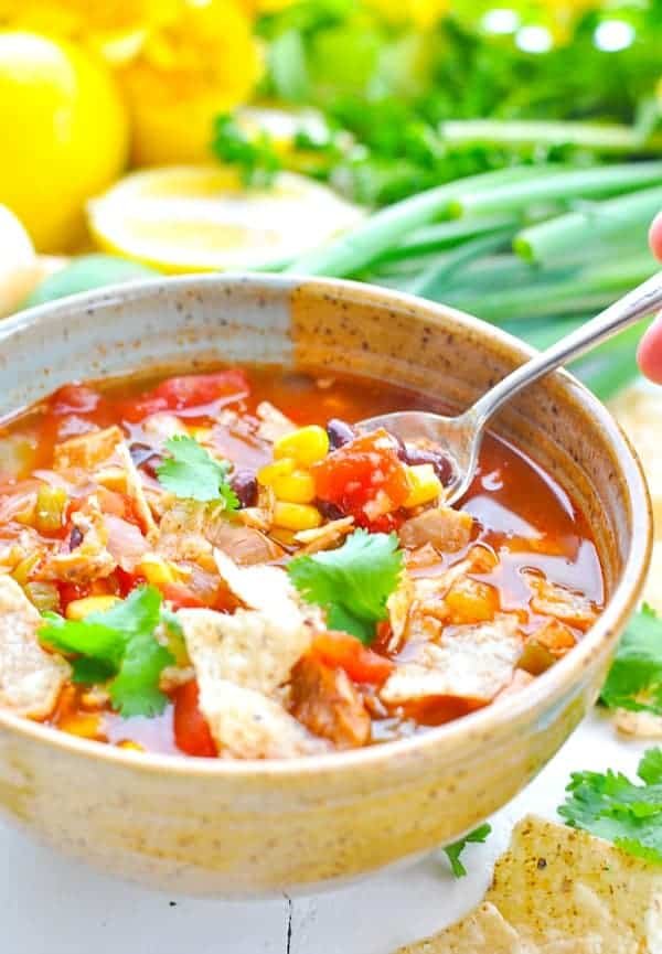 xem đá gà đòn bình định xem đá gà đòn bình định