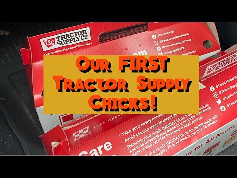 trực tiếp đá gà tre,Đánh Giá Chi Tiết Độ Cao Của Trực Tiếp Đá Gà Tre trực tiếp đá gà tre,Đánh Giá Chi Tiết Độ Cao Của Trực Tiếp Đá Gà Tre