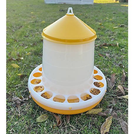 bắt đá gà ở quận bình tân bắt đá gà ở quận bình tân
