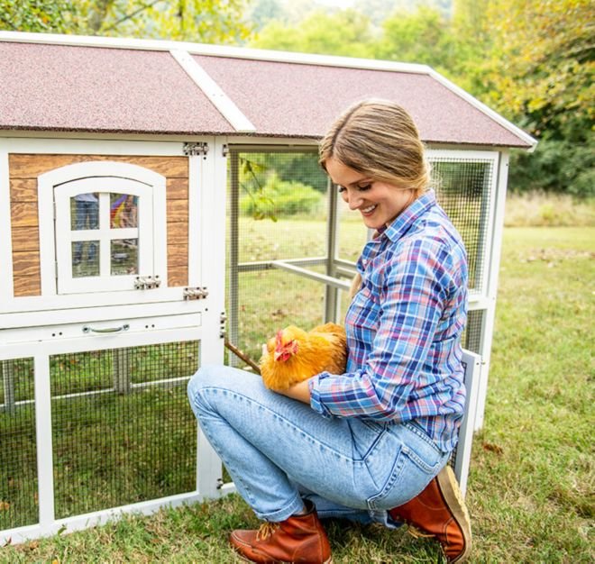 xem đá gà trực tiếp trên mạng hôm nay xem đá gà trực tiếp trên mạng hôm nay
