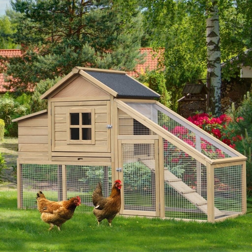 đá gà trực tiếp huu de,Giới thiệu về Huu De đá gà trực tiếp huu de,Giới thiệu về Huu De